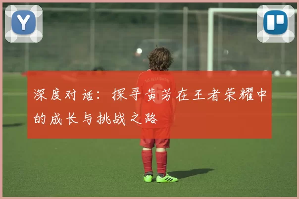 深度对话:探寻黄芳在王者荣耀中的成长与挑战之路