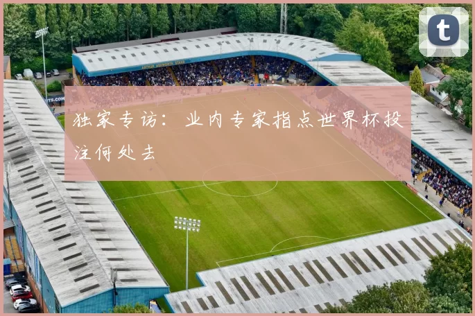 独家专访：业内专家指点世界杯投注何处去