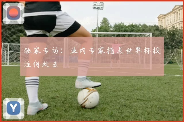 独家专访：业内专家指点世界杯投注何处去