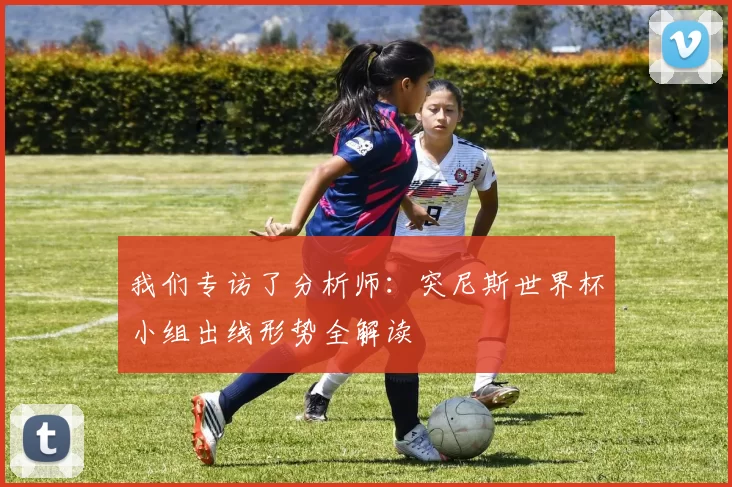 我们专访了分析师：突尼斯世界杯小组出线形势全解读