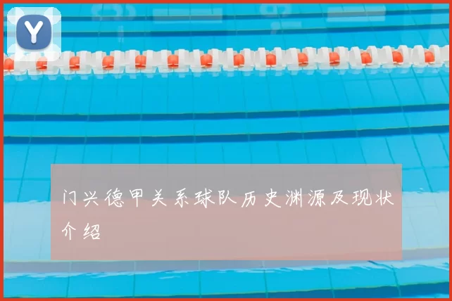 门兴德甲关系球队历史渊源及现状介绍