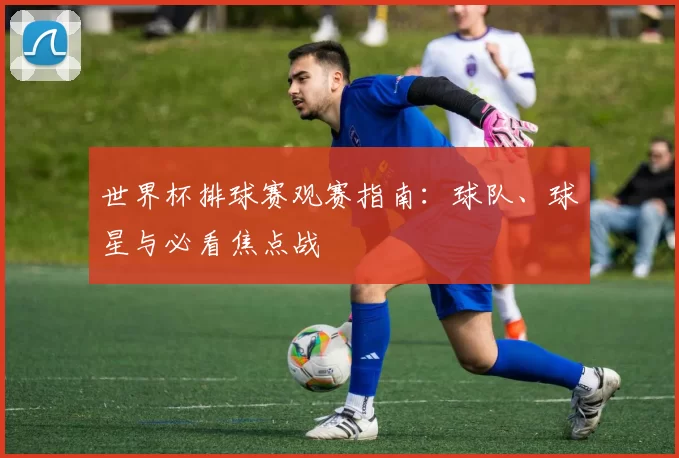 世界杯排球赛观赛指南:球队、球星与必看焦点战