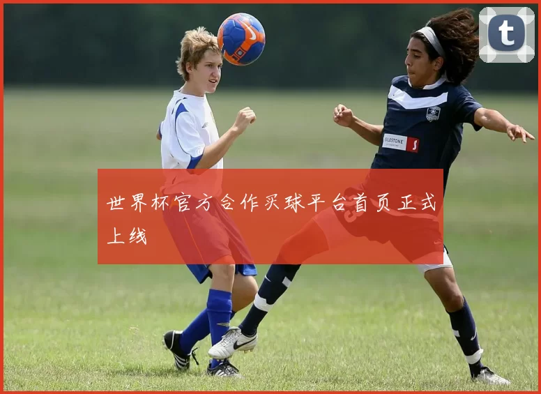 世界杯官方合作买球平台首页正式上线