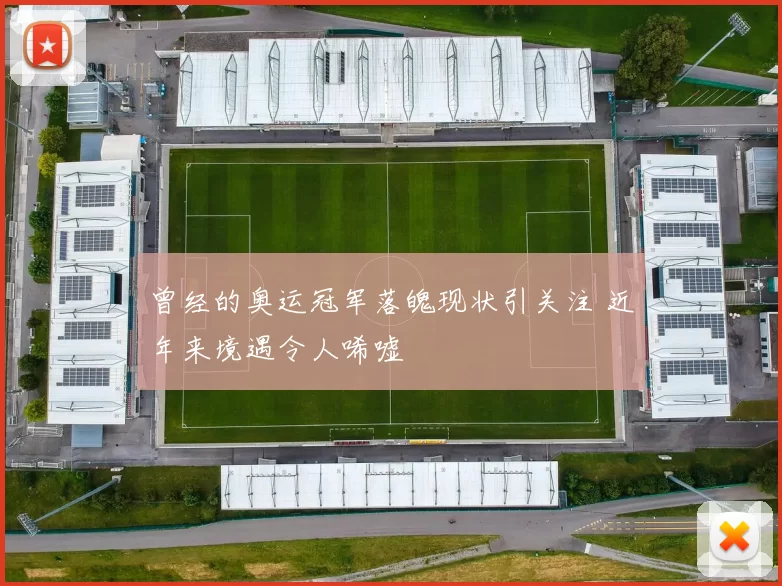 曾经的奥运冠军落魄现状引关注 近年来境遇令人唏嘘