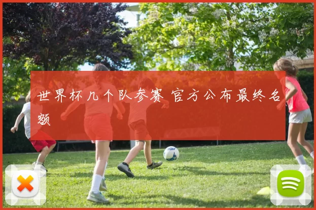 世界杯几个队参赛 官方公布最终名额