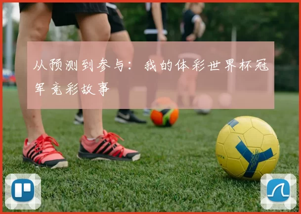 从预测到参与：我的体彩世界杯冠军竞彩故事