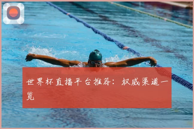 世界杯直播平台推荐：权威渠道一览
