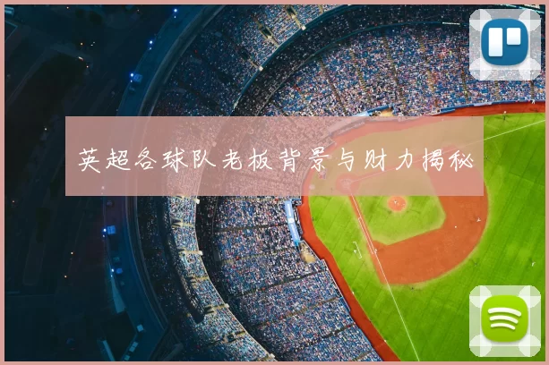 英超各球队老板背景与财力揭秘