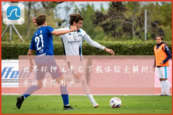 世界杯押注平台下载体验全解析：专访资深用户