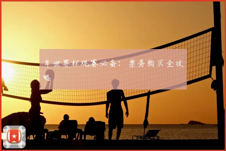 年世界杯观赛必备：票务购买全攻略