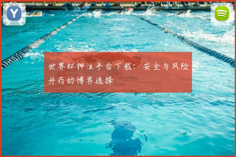 世界杯押注平台下载：安全与风险并存的博弈选择
