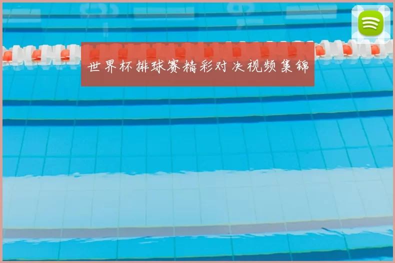 世界杯排球赛精彩对决视频集锦