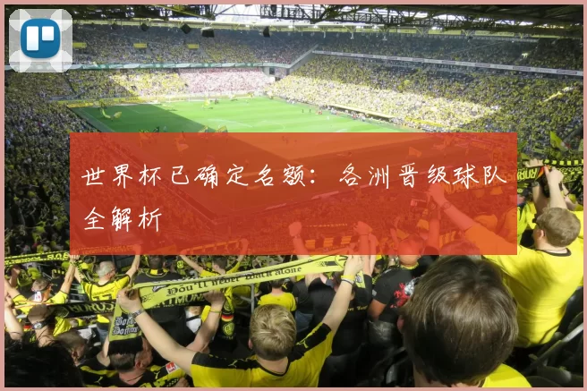 世界杯已确定名额：各洲晋级球队全解析