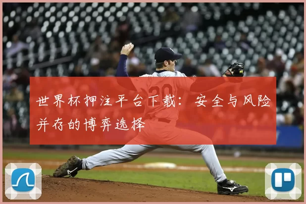 世界杯押注平台下载：安全与风险并存的博弈选择